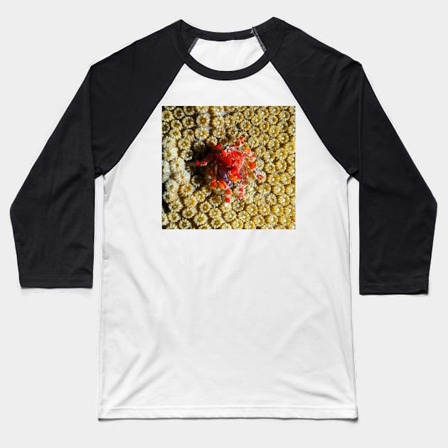 Cryptic Teardrop Crab Baseball T-Shirt by Scubagirlamy